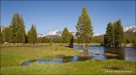 Tuolumne Meadows - Yosemite National Park