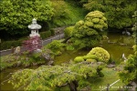 Jardín de Te Japones - San Francisco