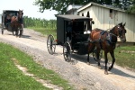 Carruaje Amish. Pensilvania USA
Amish Pensilvania USA