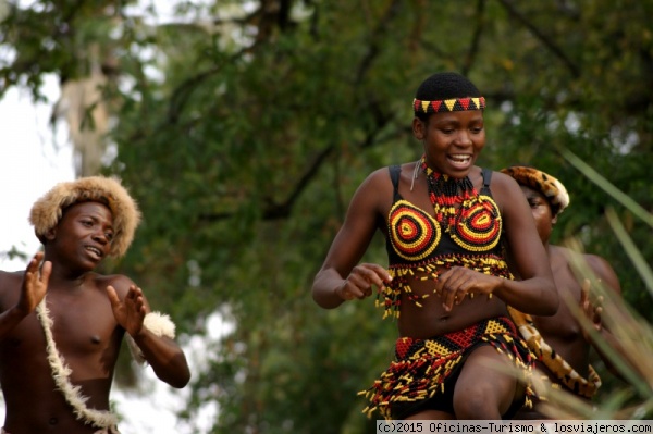 Danzas tradicionales - Bailarines de Zimbabwe
Danzas tradicionales de Zimbawe. Foto cedida por la Oficina de Turismo de Zimbabwe.
