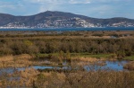 Parque Natural Els Aiguamolls de l'Empordà, Roses, Costa Brava - Girona