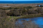 Parque Natural Els Aiguamolls de l'Empordà, Roses, Costa Brava - Girona