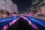 Navidad en Tokio - Japón