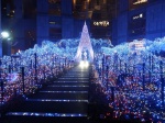 Iluminación navideña en Tokio - Japón
Iluminación, Tokio, Japón, Caretta, Shiodome, navideña