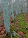 El Moncayo - Tarazona, Zaragoza