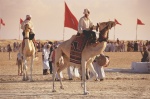 Festival Internacional del Sahara