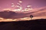 Parque Nacional de Tankwa Karoo - Sudáfrica