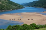 Paseo a caballo. Sudáfrica