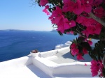 Santorini white and blue , with a little pink .