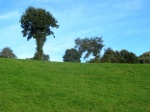 Valle de Carranza (Bizkaia)