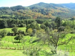 Valle de Carranza (Bizkaia)
