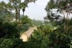 Welcome to the Jungle
Welcome, Jungle, Taman, Negara, Canopy, desde