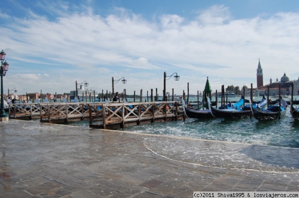 Se inunda Venecia
El agua empieza a inundar la ciudad de Venecia.
