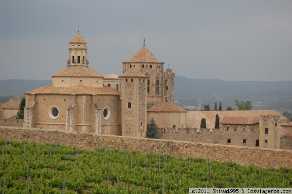 Monasterio de Poblet (Tarragona)
Monasterio de la orden cisterciense fundado en el siglo XII. Patrimonio de la Humanidad desde 1991.
