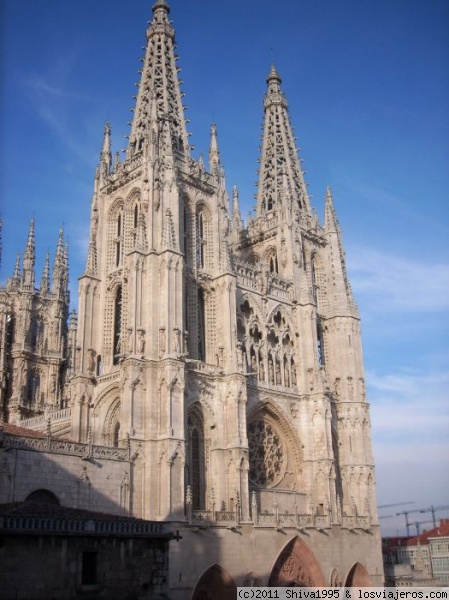 Catedral de Burgos
Catedral de estilo gótico, se empezó a construir en el siglo XIII. Entre otros muchos tesoros, alberga el sepulcro del Cid; fue declarada Patrimonio de la Humanidad en 1984.
