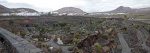 Jardín del Cactus - Lanzarote
jardín cactus lanzarote canarias cesar manrique