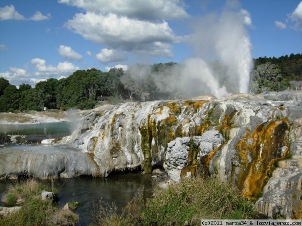 Géiser Pohutu en Te Puia (Rotorua) - Nueva Zelanda