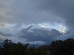 Alrededores del Glaciar Franz Josef
Surroundings of Franz Josef Glacier