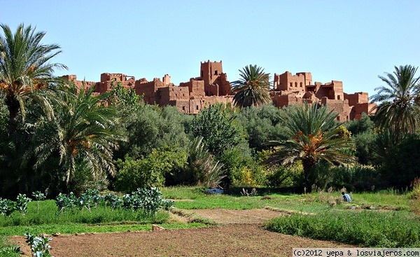 Kasba en Tinerhir
Saliendo de las gargantas direccion Erg Chebbi pasas por Tinerhir un pequeño pueblo de granjeros
