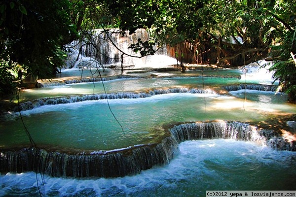 Piscinas Naturales
Totalmente naturales en la zona de Luang Prabang, en Kuoung Si, perfectas para un baño
