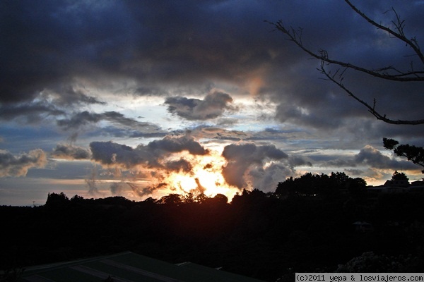 Monteverde
Puesta de sol en Monteverde
