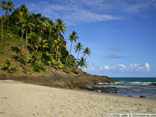 Itacare
Fabulosas playas en Itacare, en Bahia, con sus palmeras, su fina arena y sus fabulosas aguas perfectas para el surf
