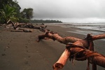 Parque Nacional Corcovado