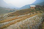 Sapa