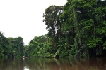 Tortuguero