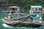Pescadores
Halong Bay