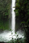 Catarata La Fortuna