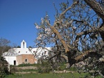 Iglesia de Sta Ines
Ibiza