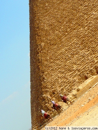egipto
camellos pasando al lado de las piramides
