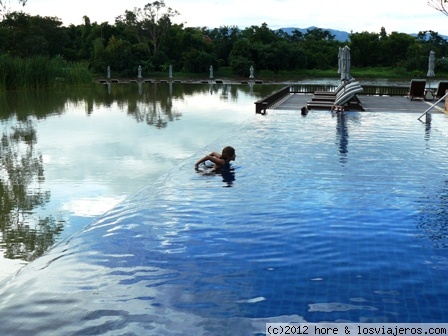 hotel le meridien ( chiang rai )
piscina del hotel le meridien de chiang rai, con el lago al lado y el rio al fondo, uuuuuuuuuffff!!!!!!!!
