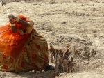 costruyendo una carretera
india rajasthan