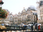 bruselas
bruselas, lluvia, plazza, mayor, brussels