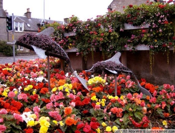 Pequeño parterre en Nairn (Escocia)
Nairn es un pequeño pueblo de Escocia, cercano a Inverness, donde encontramos curiosidades como este parterre. En la zona del Moray Firth, donde está situado, se pueden observar delfines.
