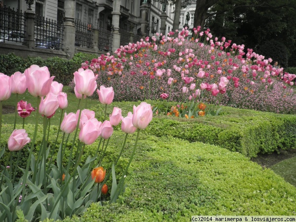 Jardin del Petit Sablon, Bruselas
Jardin del Petit Sablon, Bruselas
