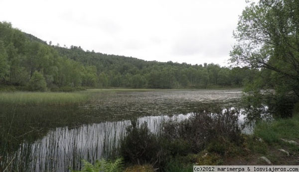 Craigellachie National Nature Reserve
Craigellachie National Nature Reserve, en el Cairngorm National Park (Escocia)
