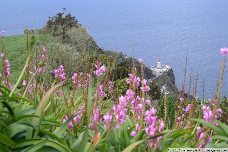 COSTA NORESTE. CAMPOS DE TÉ - SÃO MIGUEL (AZORES): ESTA ISLA ES LA LECHE (19)