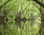 Río Ibor, Cáceres