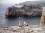 Acantilados en el Cabo de San Vicente
Acantilados, Cabo, Vicente