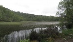 Craigellachie National Nature Reserve
Craigellachie, National, Nature, Reserve, Cairngorm, Park, Escocia