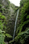 El Caldeirão Verde
Madeira