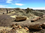 Bosque petrificado. Sarmiento
Bosque, Sarmiento, José, Ormaechea, Chubut, Patagonia, petrificado, argentina