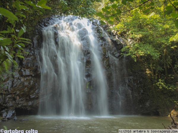Mungalli falls
En la zona de Milla Milla hay unas cuantas cascadas muy bonitas. Una zona ya cercana a Cairns.
