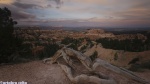 Atardecer en Bryce Canyon