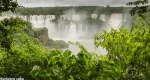 El secreto de la selva