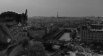 París a vista de gárgola