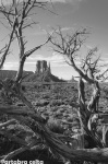 Monument Valley B&W